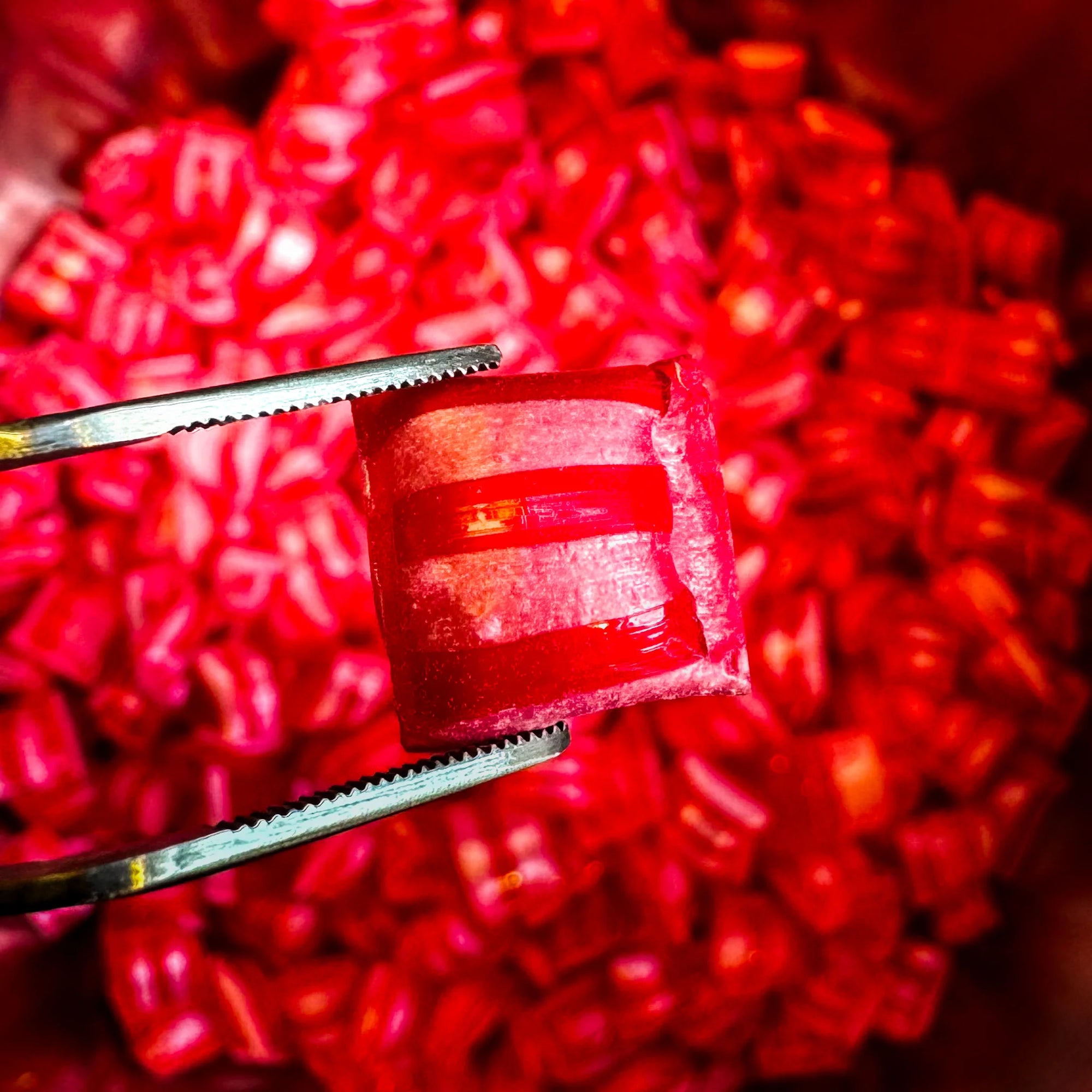Cerise sans sucre