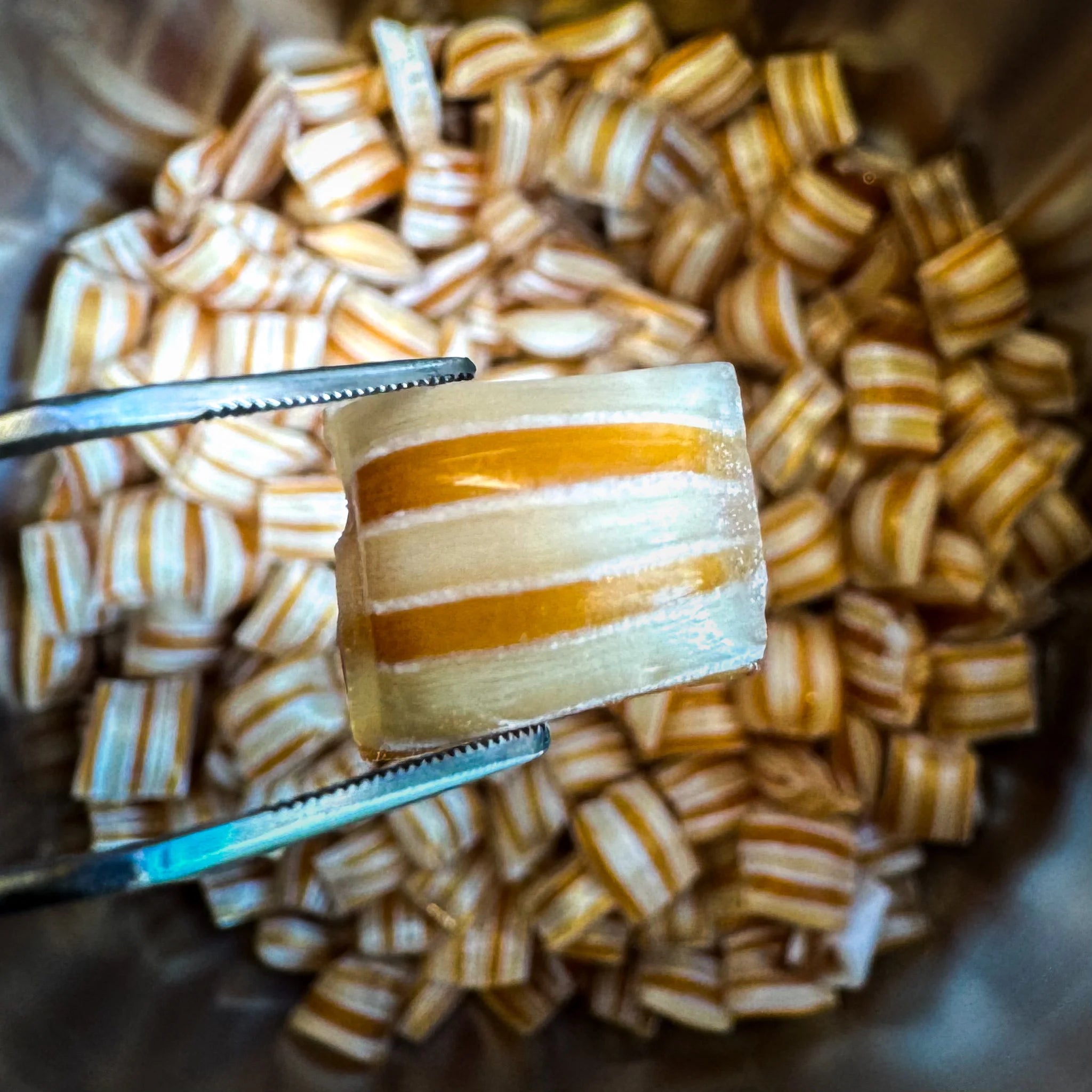 Butterscotch