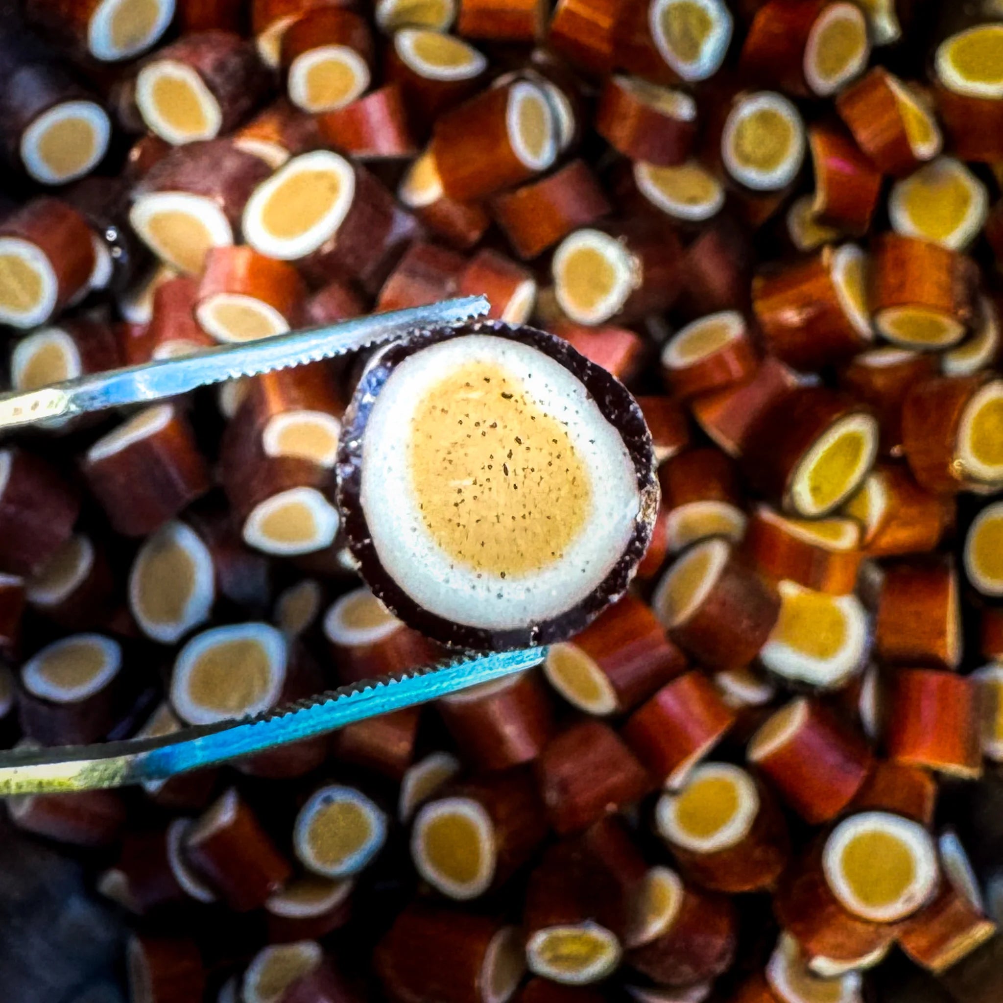 Coconut