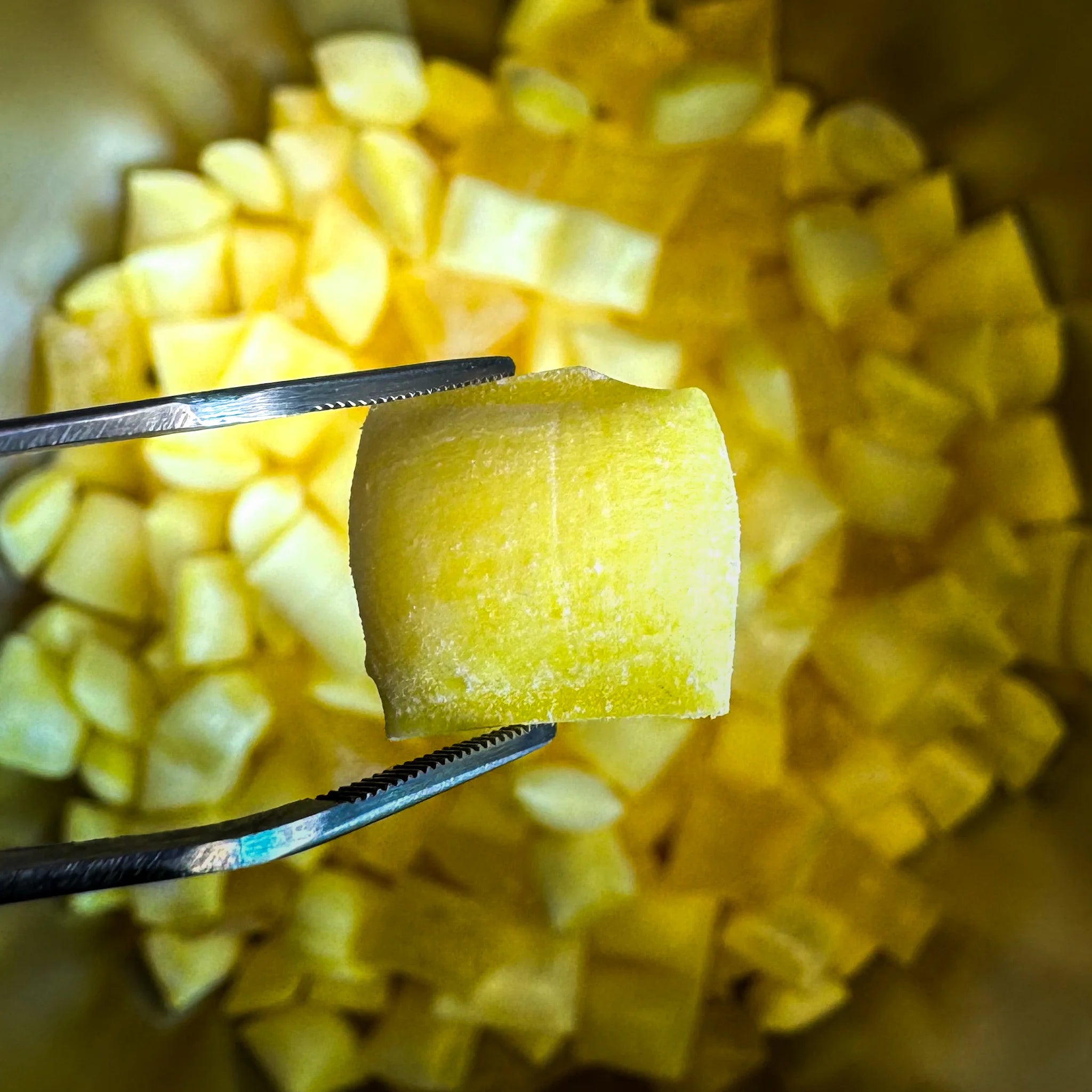Pina Colada