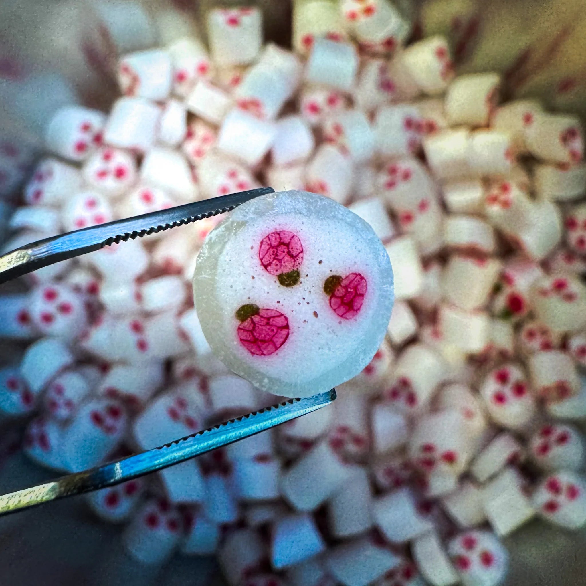 Raspberry