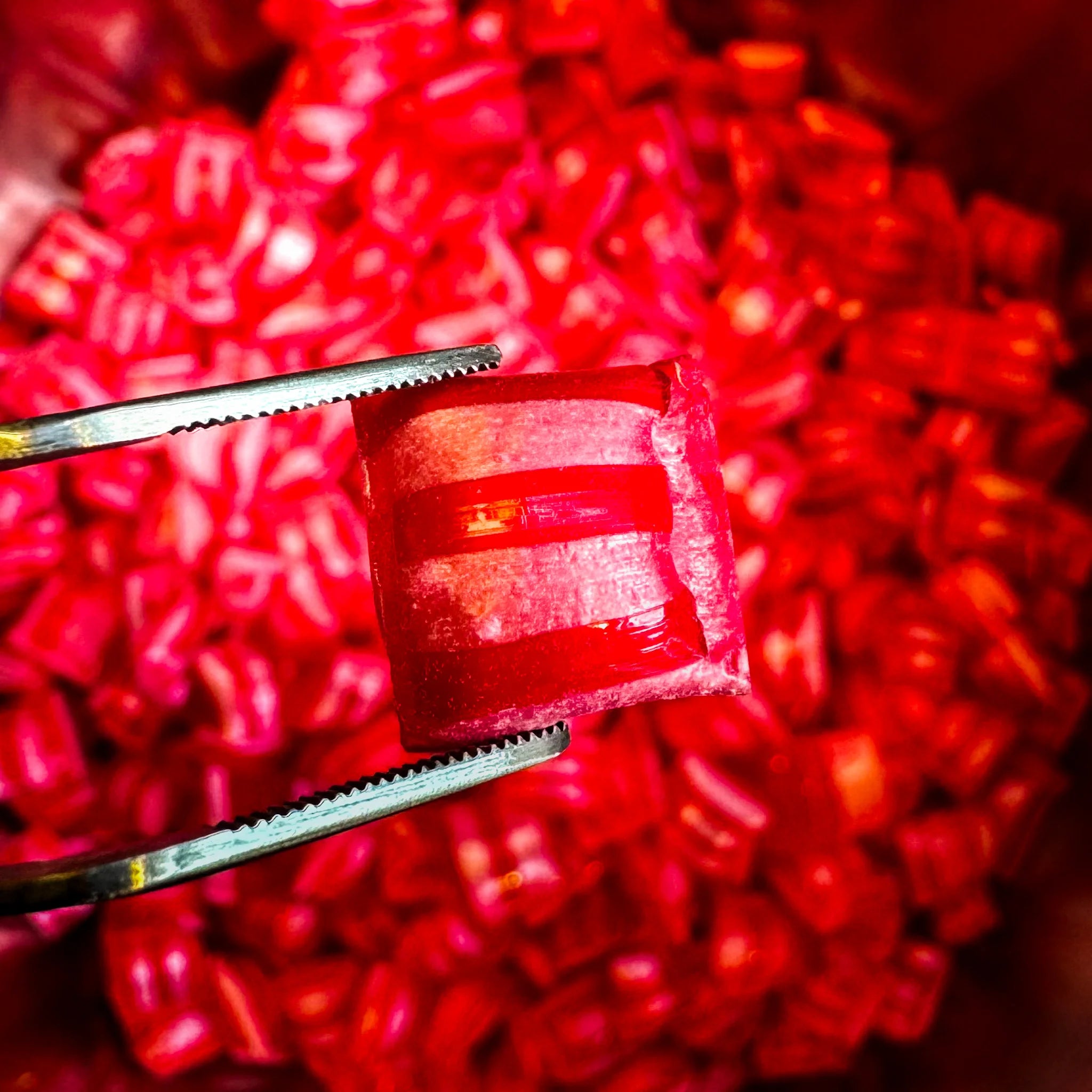 Cerise sans sucre